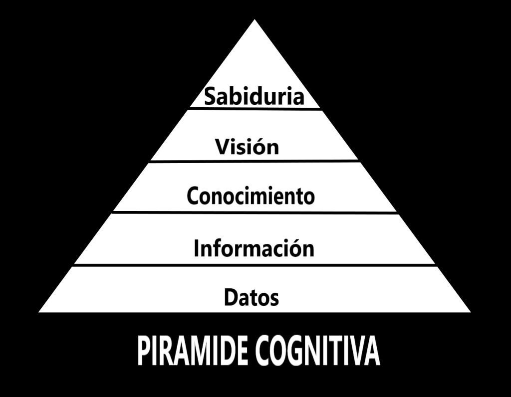 piramide cognitiva